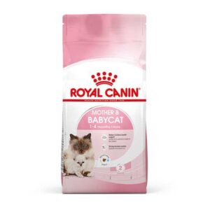 غذا خشک گربه رویال کنین مادر و بچه گربهRoyal Canin Mother & Baby