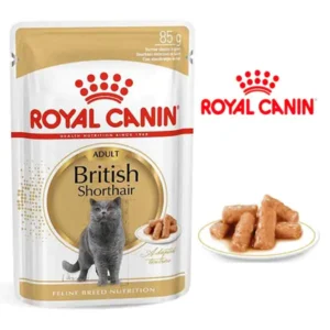 پوچ گربه رویال کنین مدل بریتیشRoyal Canin British